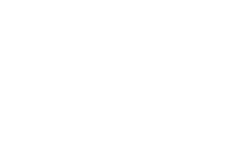 Tulip Garden